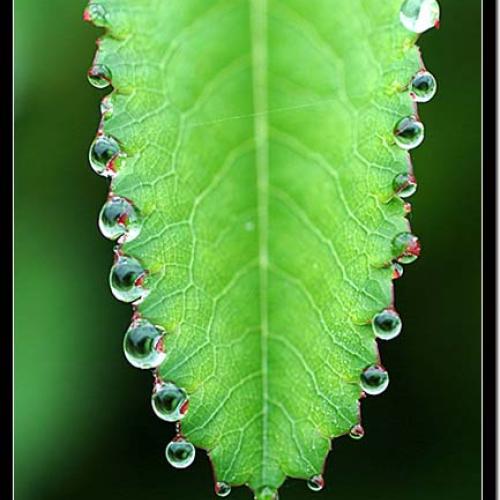 오늘 아침엔31탄(연작1)