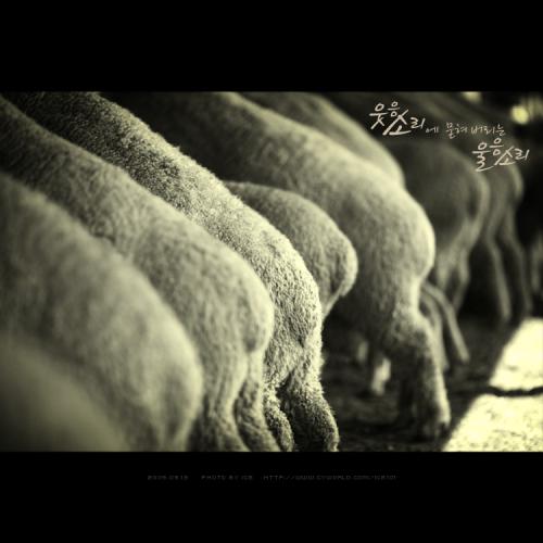 이쁜 궁뎅이들...