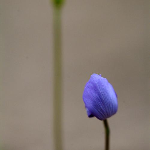 오늘 아침엔154-2탄