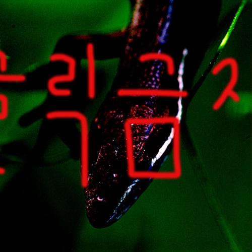 오늘 아침엔210탄(노약자 클릭금지)