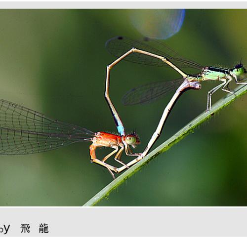 오늘 아침엔100탄