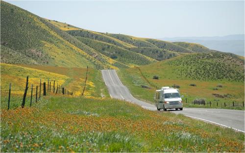캘리포니아의 봄