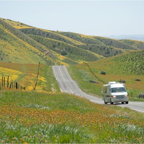 캘리포니아의 봄