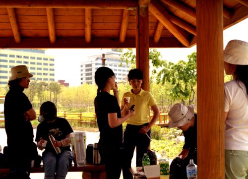 5월 31일 매화점번....