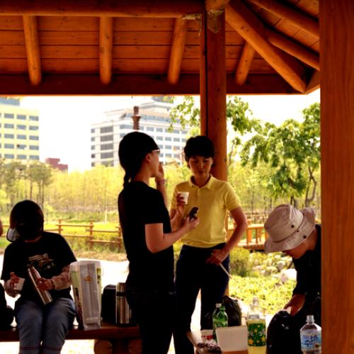 5월 31일 매화점번....