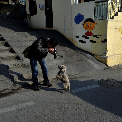 아이쇼핑님의 위엄