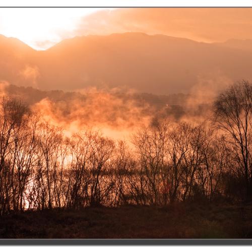 안개 마을..............