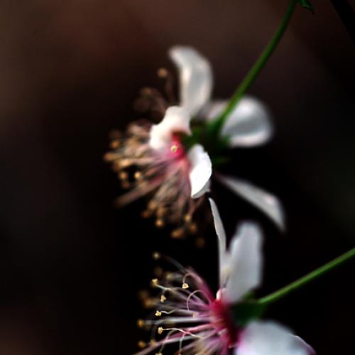 오늘 아침엔156탄