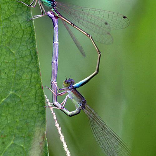 오늘 아침엔213탄(어부바)