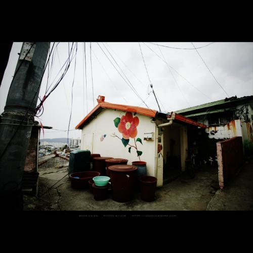 동백이 지지않는 언덕위의 집