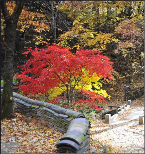 가을 한아름 안고...