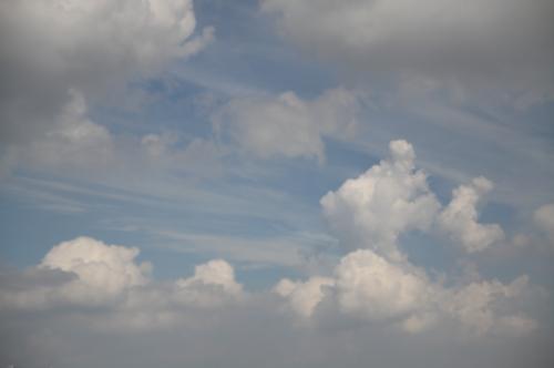 물고기 한마리^^