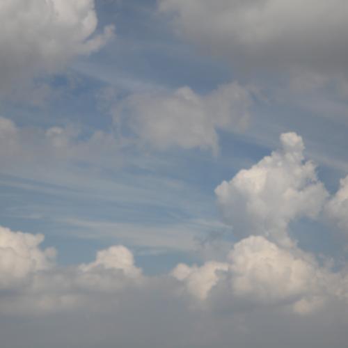 물고기 한마리^^