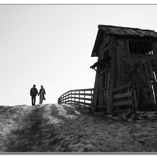 양떼 목장 풍경