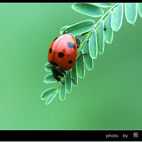 오늘 아침엔87탄