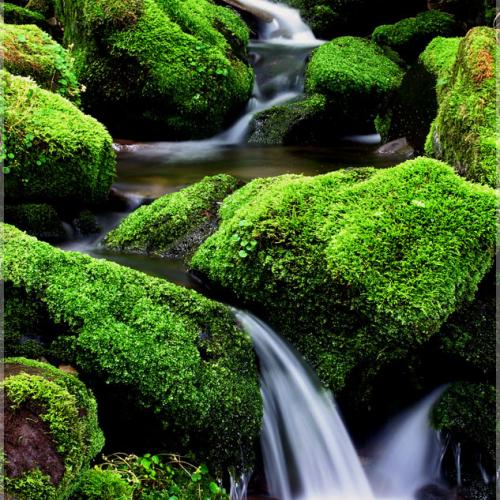 태고의  신비를 찾아.