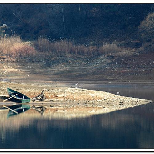 호수가 풍경..
