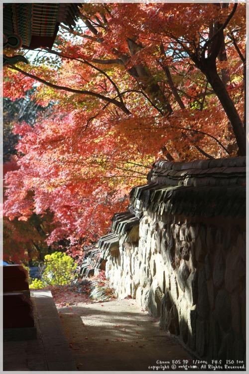 늦은 가을의 불국사...