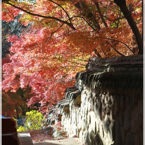 늦은 가을의 불국사...