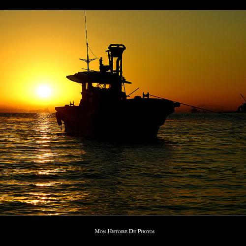 일출을 맞이하는 포구