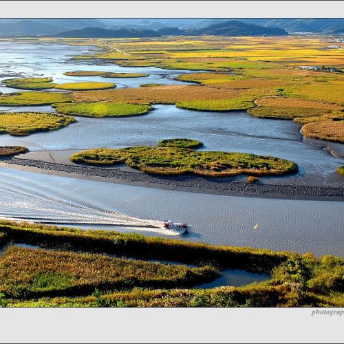 가을빛 진한 순천만
