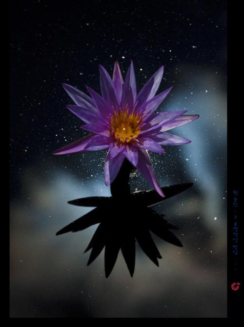 연꽃마을 소경...