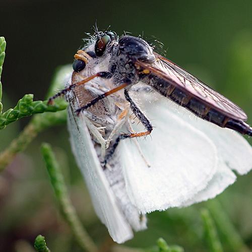 오늘 아침엔213-3탄(식사중)