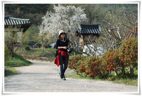 사진 2) 피오나님 등~