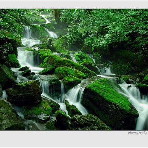 그곳에 가면 마음마저도 싱그럽다.