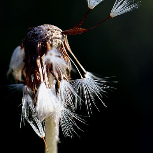 오늘 아침엔157탄