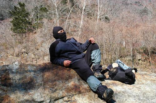 거시기 닮지 않았나요?