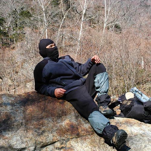 거시기 닮지 않았나요?