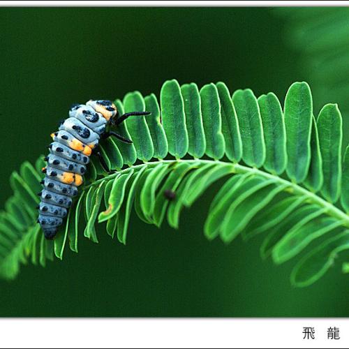 오늘 아침엔88-2탄