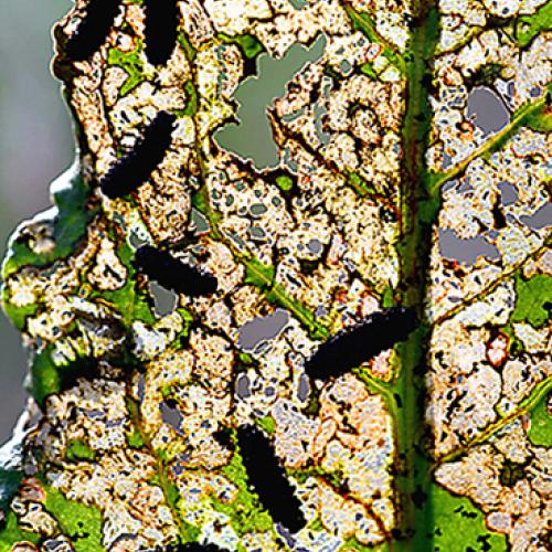 오늘 아침엔157-2탄