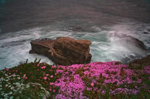 봄의 바닷가 풍경