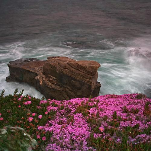 봄의 바닷가 풍경