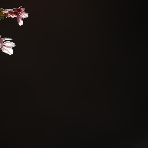 이제는 떨어질 시간