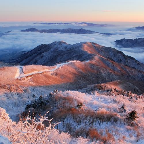 향적봉의 아침..