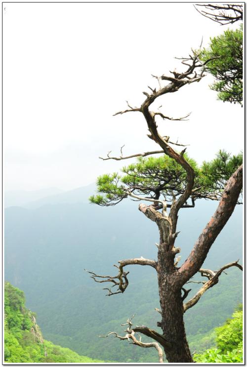 계룡산 삼불봉에서..