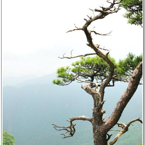 계룡산 삼불봉에서..