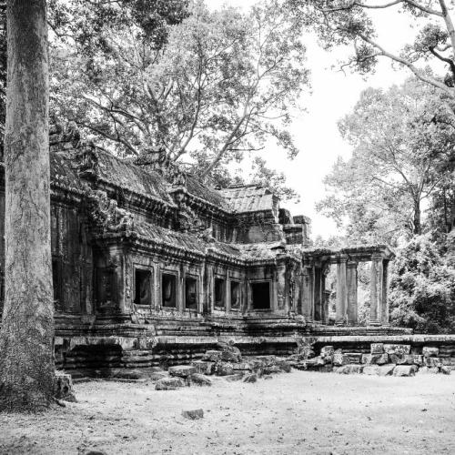 앙코르 추억