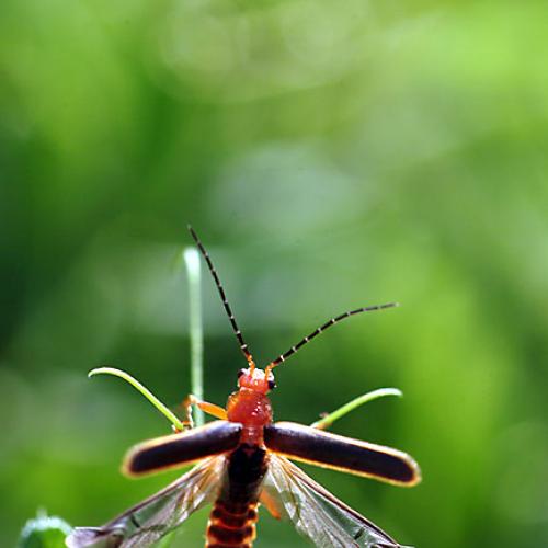 오늘 아침엔157-3탄(날자꾸나)