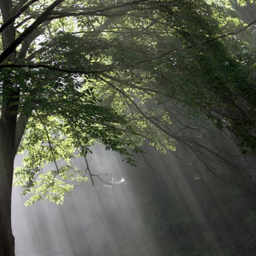 용암사의 아침(3)