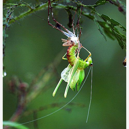 오늘 아침엔89탄