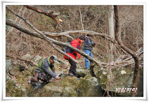 눈보라치고 추운날 어느분들?...........