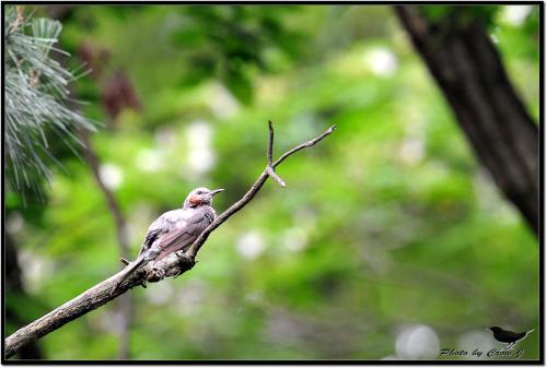 보문산 언저리에서...