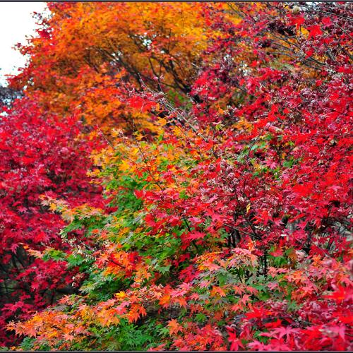 가을의 끝자락에서....