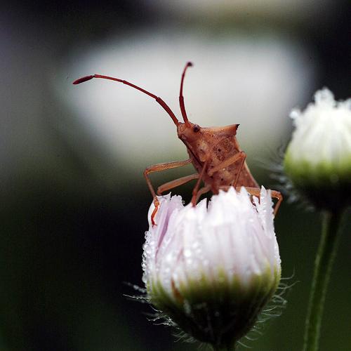 오늘 아침엔215탄