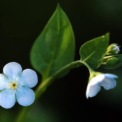 오늘 아침엔158탄