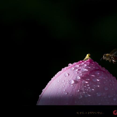 운명적인 만남...